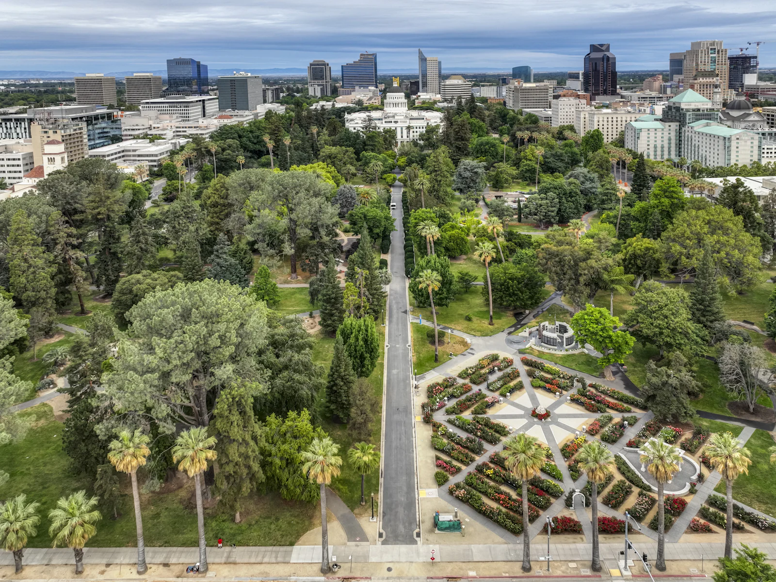 A tree-filled urban park surrounded by city buildings.