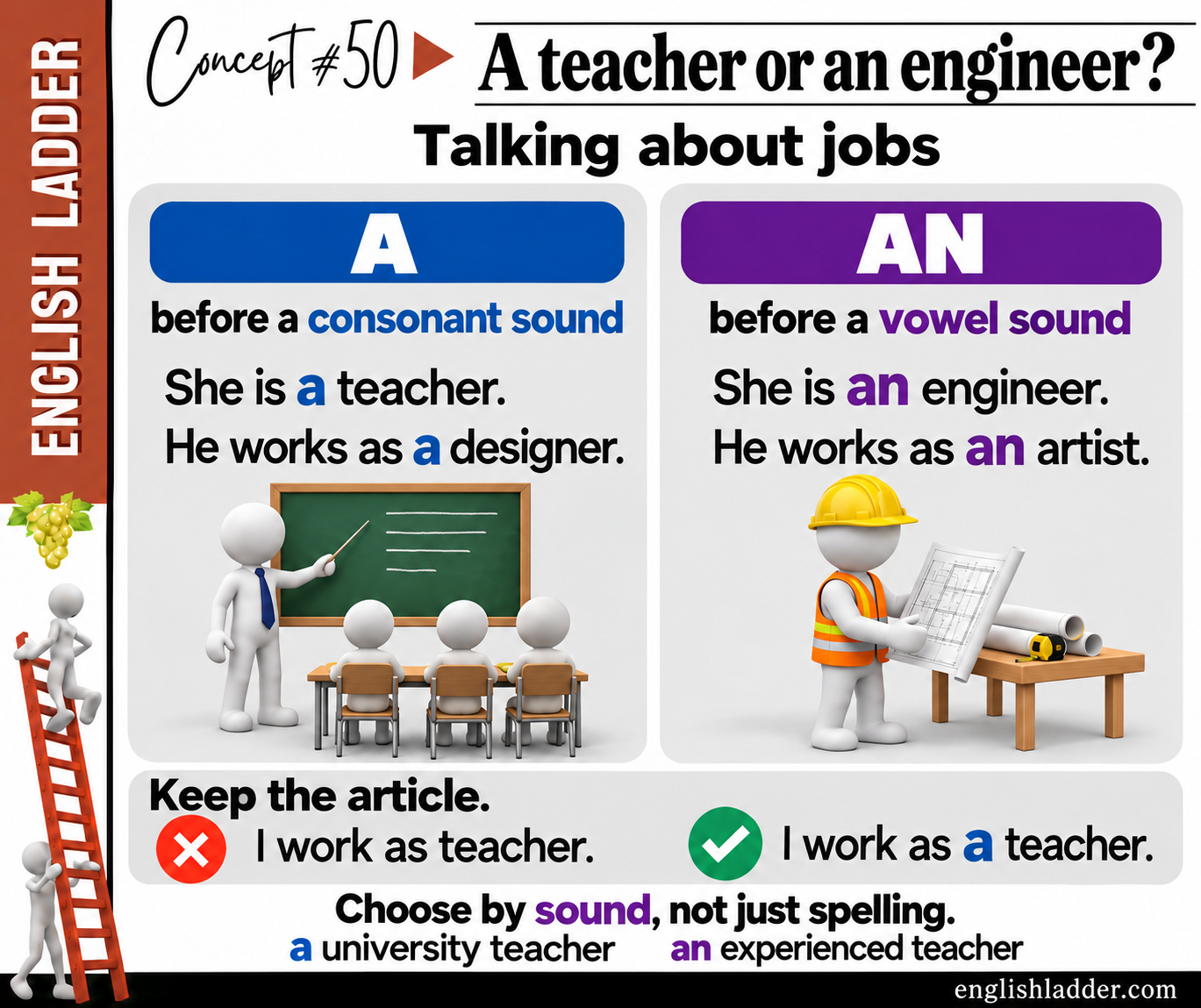 Original concept 50 graphic: Talking about jobs: a or an?.